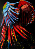 Joyful Parrot